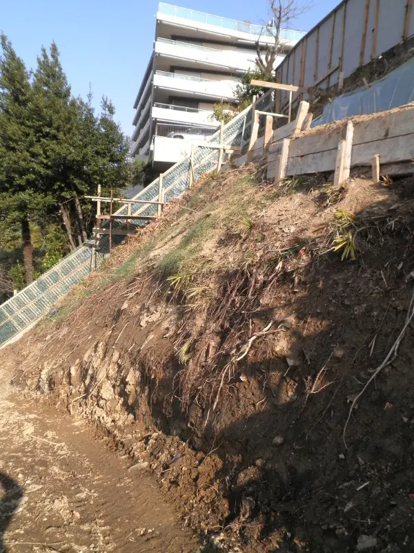 Immagine segnaposto progetto
