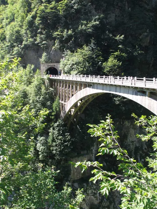 Immagine segnaposto progetto